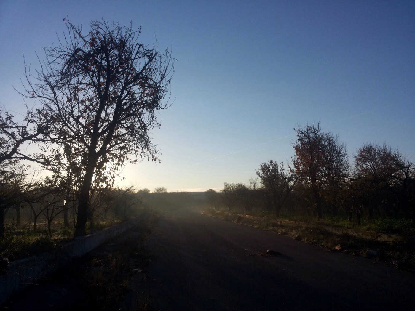 Le fredde mattine...