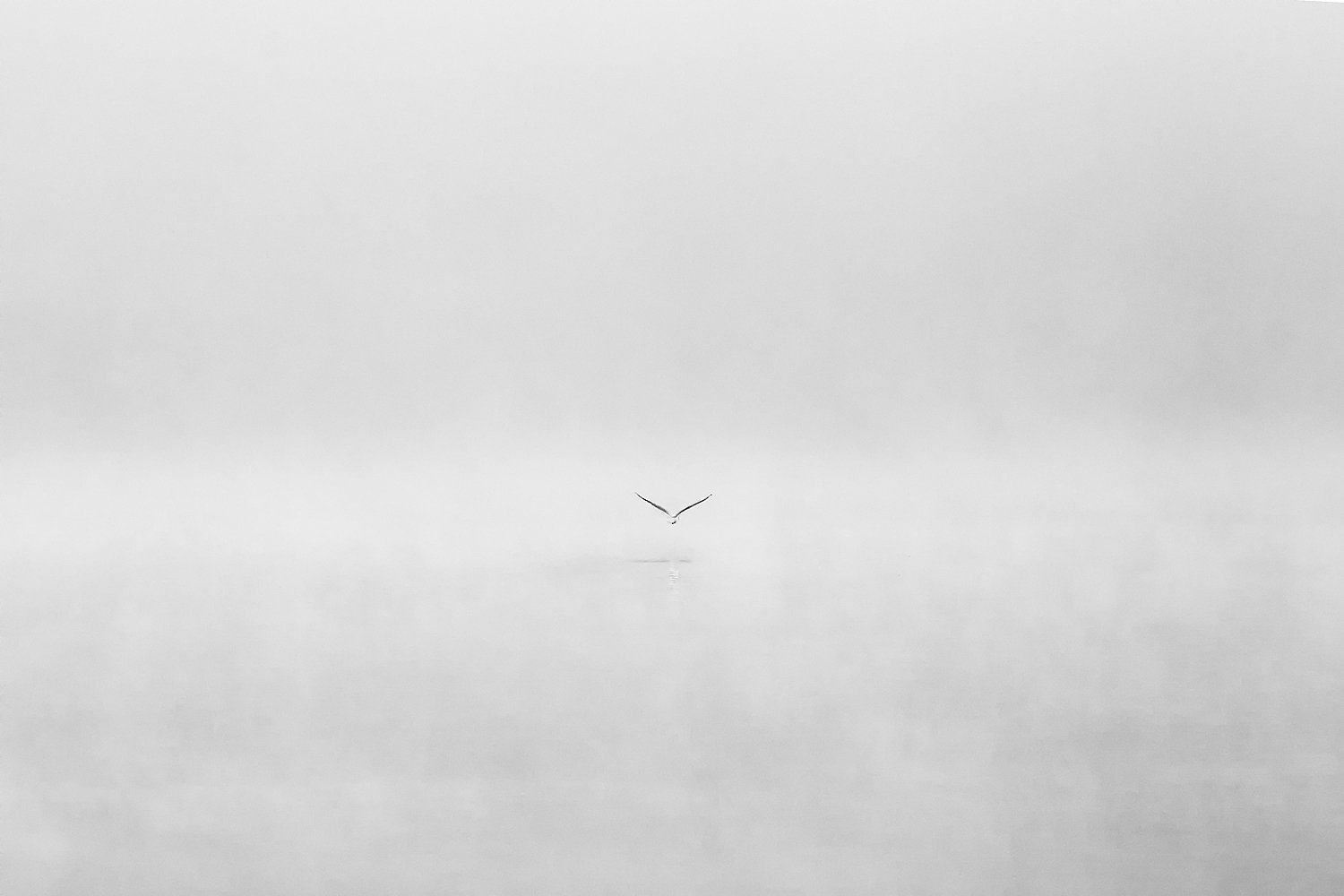 The flight to the dreamland