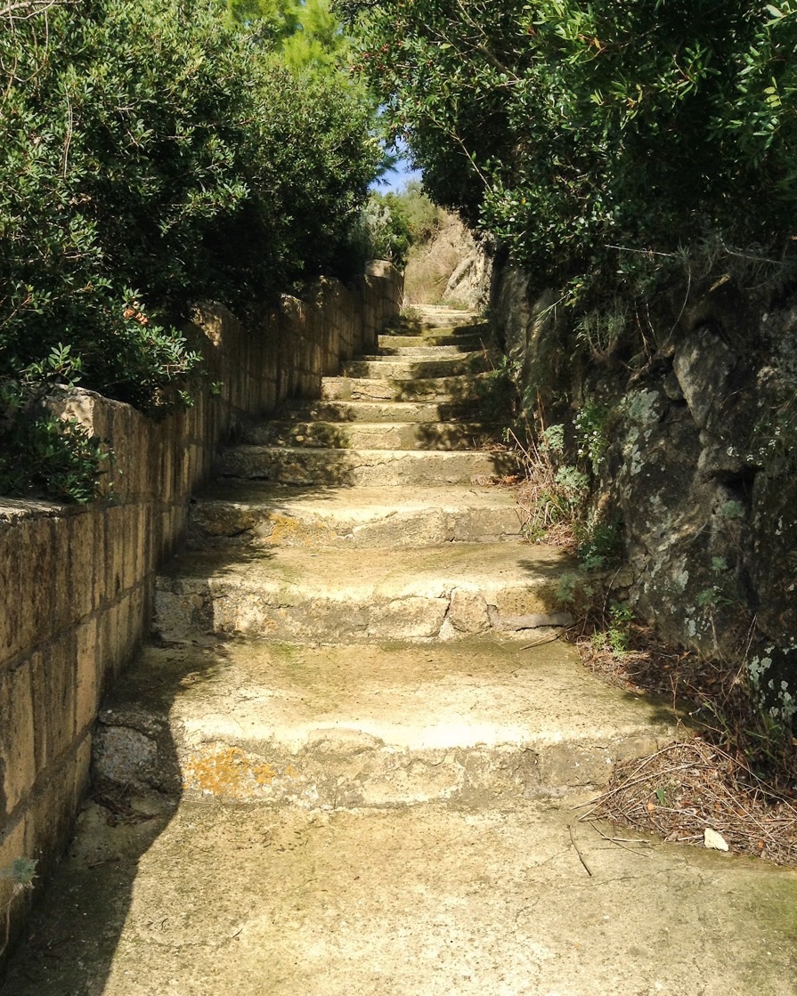 Scalini tra la natura...