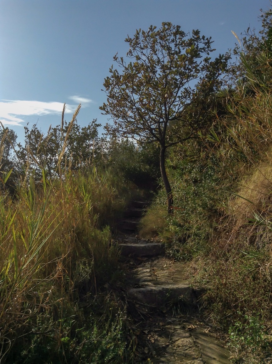 Scalini tra la natura 2...