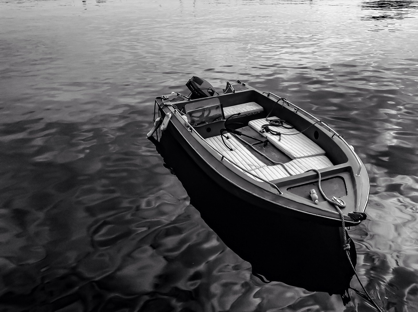 Nessuno vuole salire???