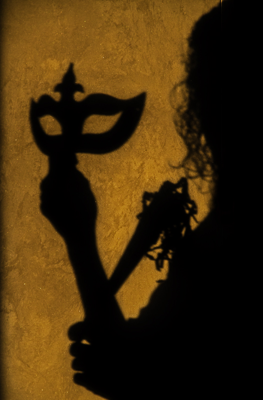 L'ombra mascherata
