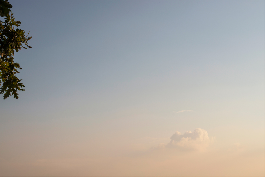 L'isola che non c'�...