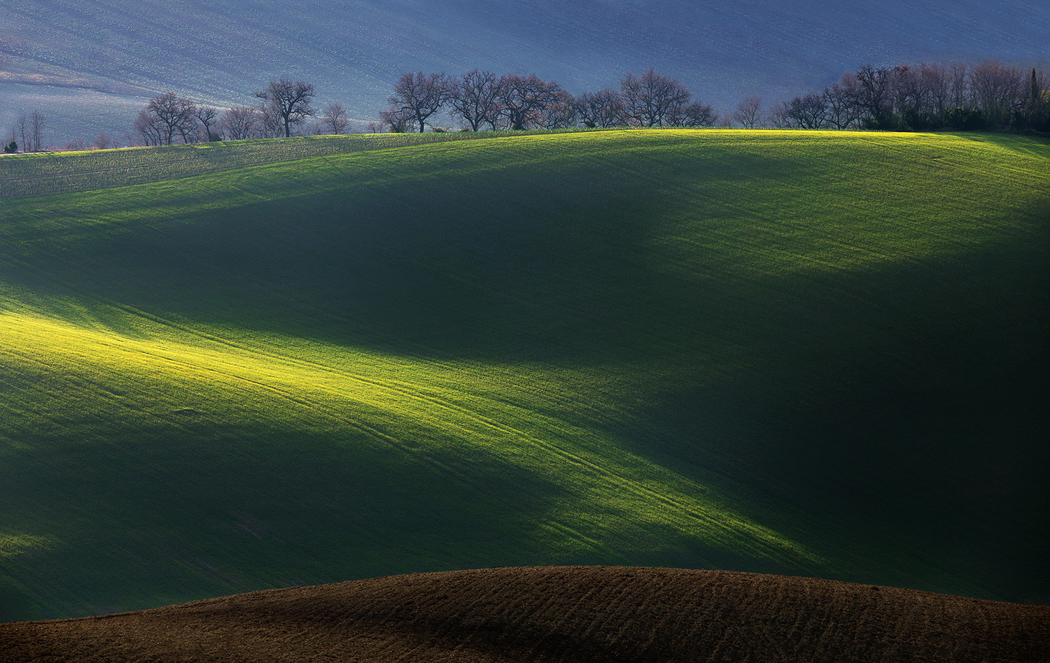 in attesa che ritorni