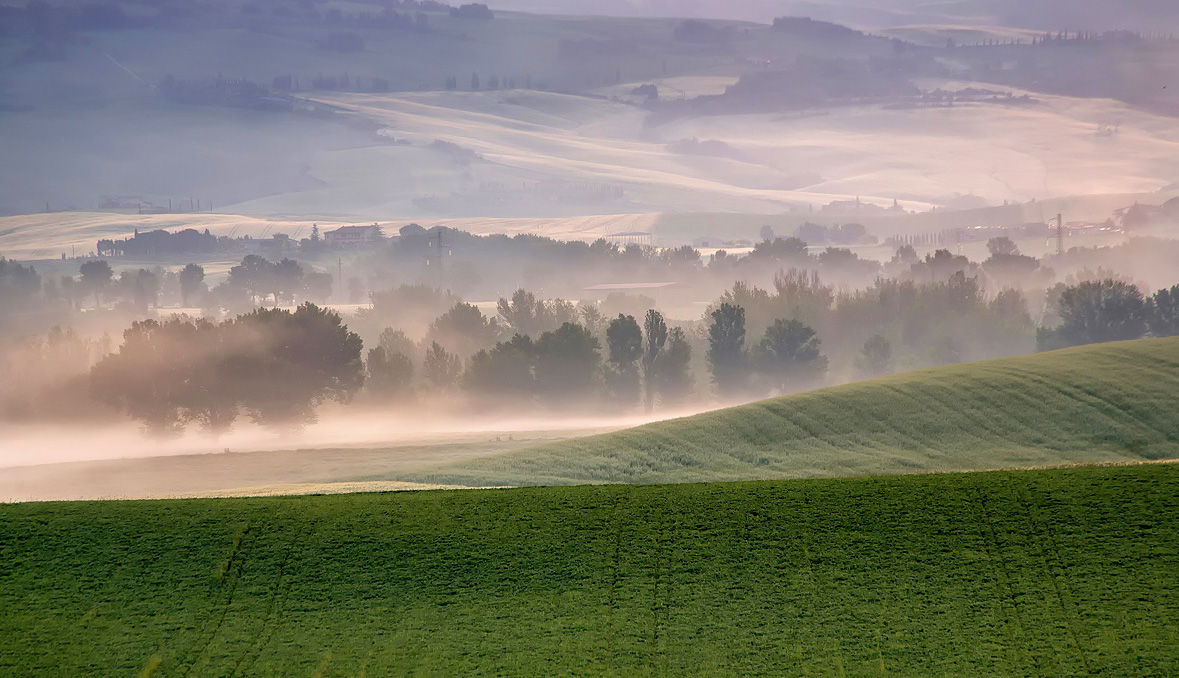 Foschia mattutina in Val d'Orcia