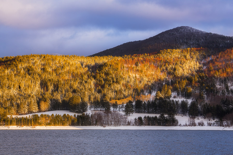 Inverno sulle rive del lago Arvo