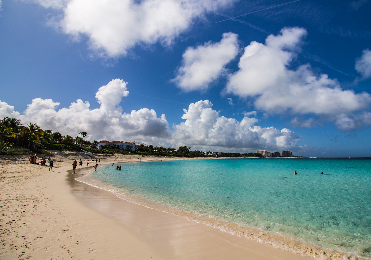 Spiaggia tropicale