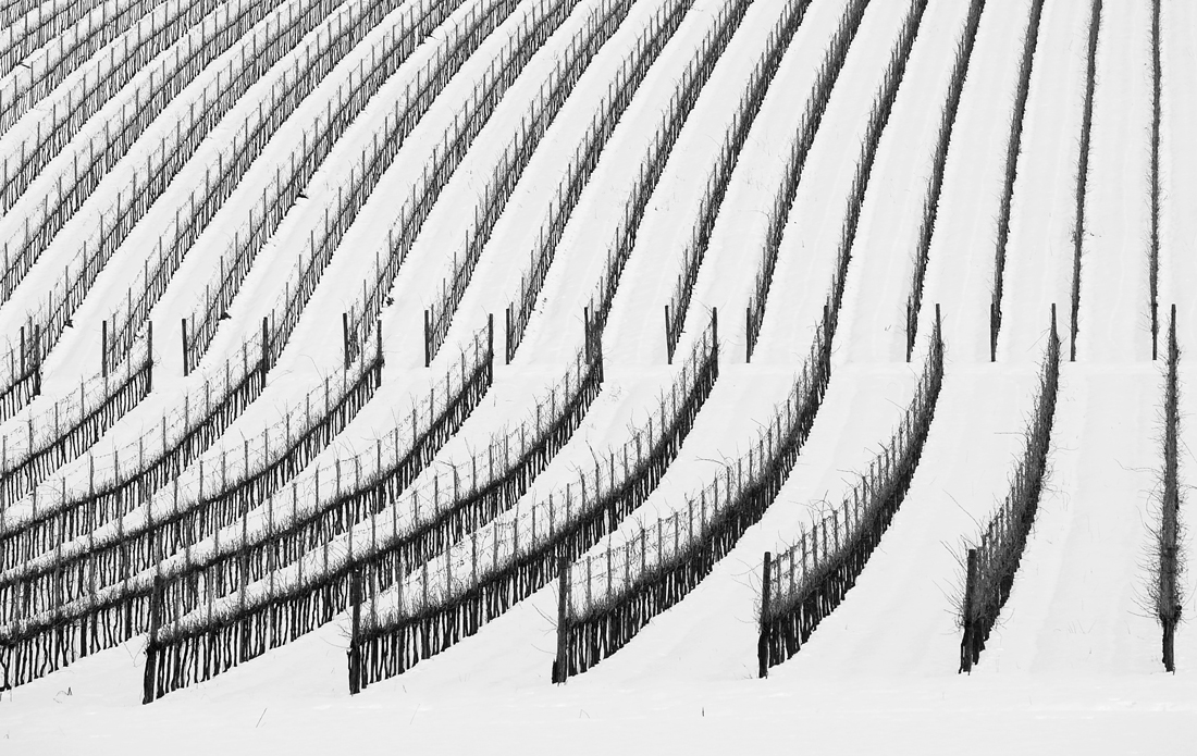 B&W.