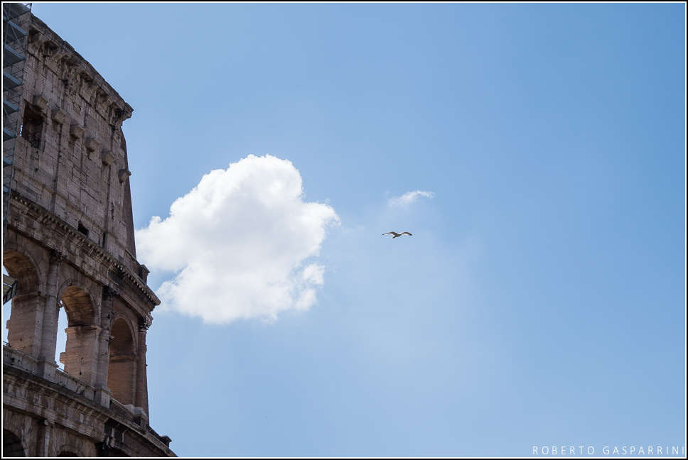 Il predatore dei cieli