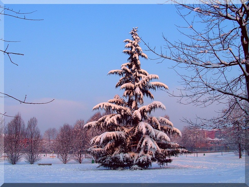 neve in citt�.