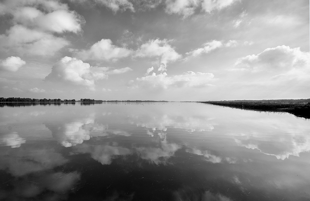 Riflessi in bianco e nero