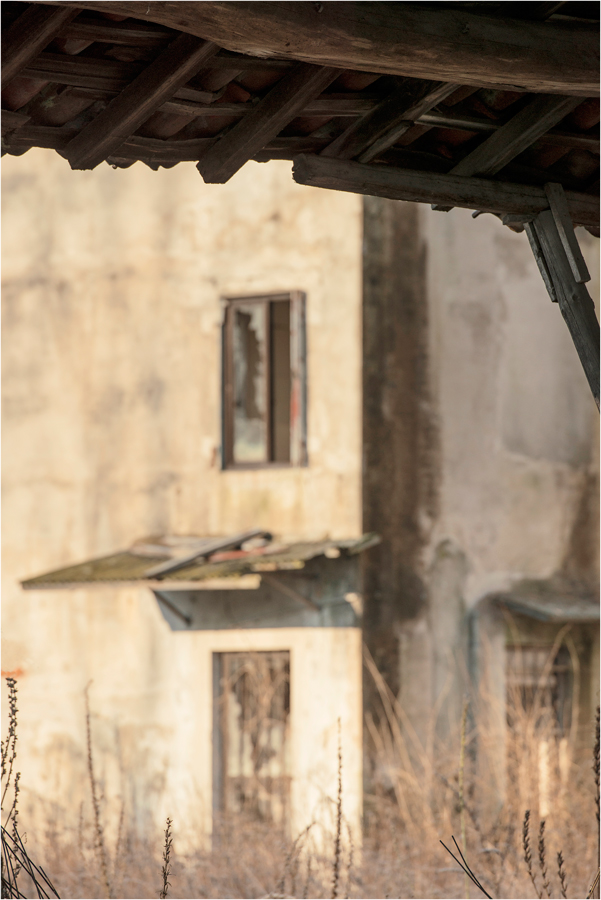 Tra legni e silenzio...