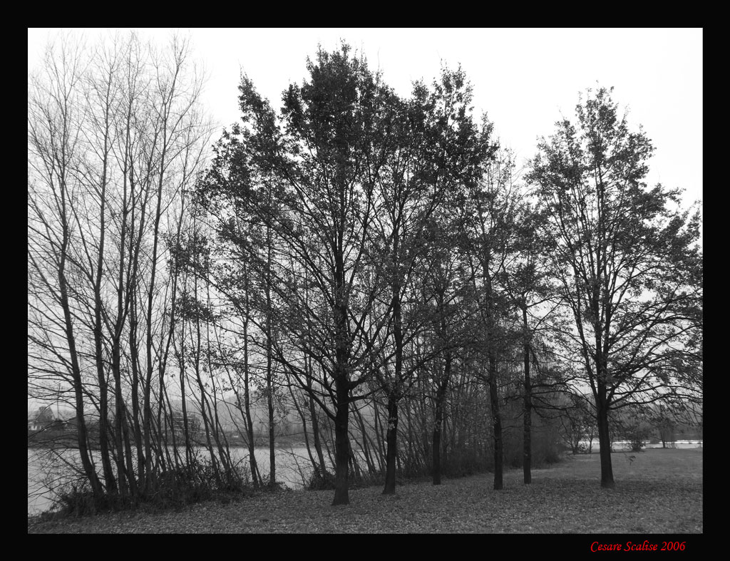 Domenica d'inverno al parco
