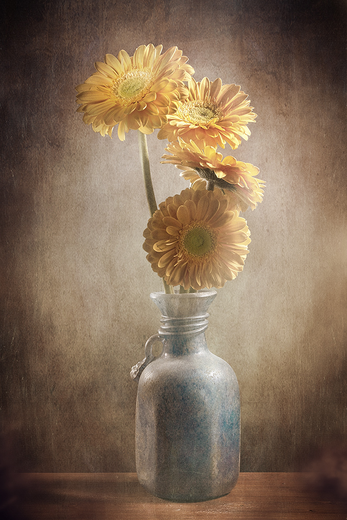 Visione personale di natura morta