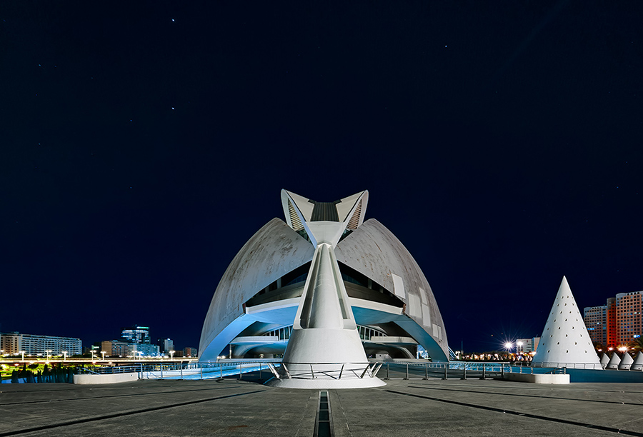 Elefante o Formichiere?