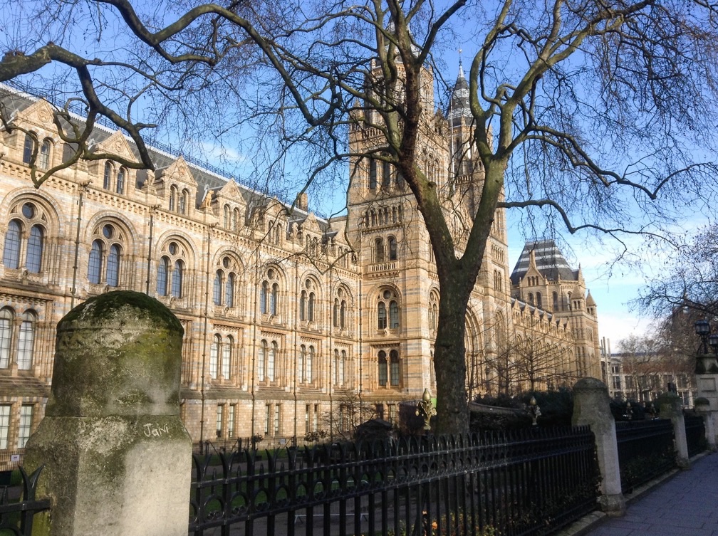 Museo di storia naturale, londra...