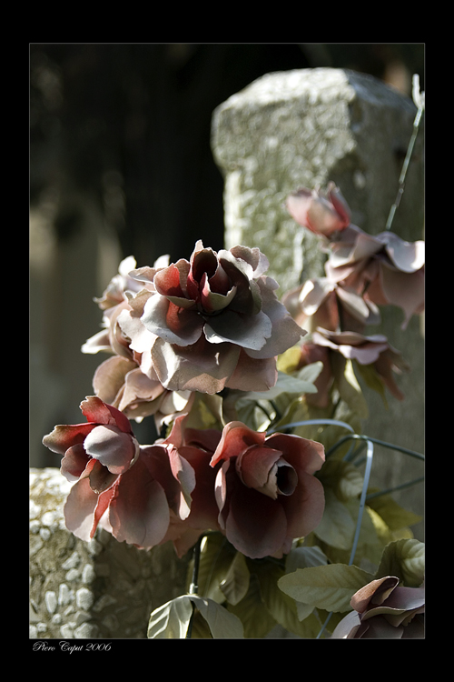 Cimitero monumentale
