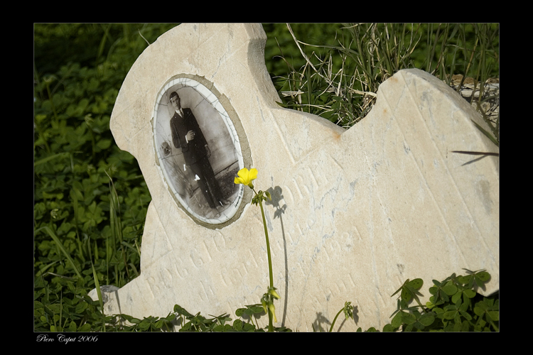 Cimitero monumentale