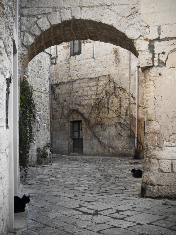 Lecce - Citt� vecchia - V(m)icini di casa