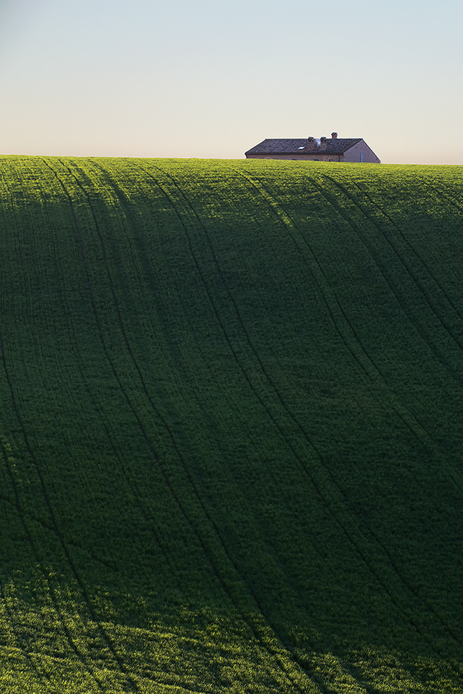 .....ecco che fa capolino......