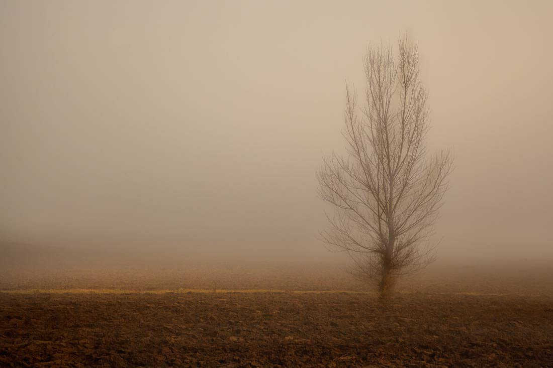 Campagna Mugellese 1