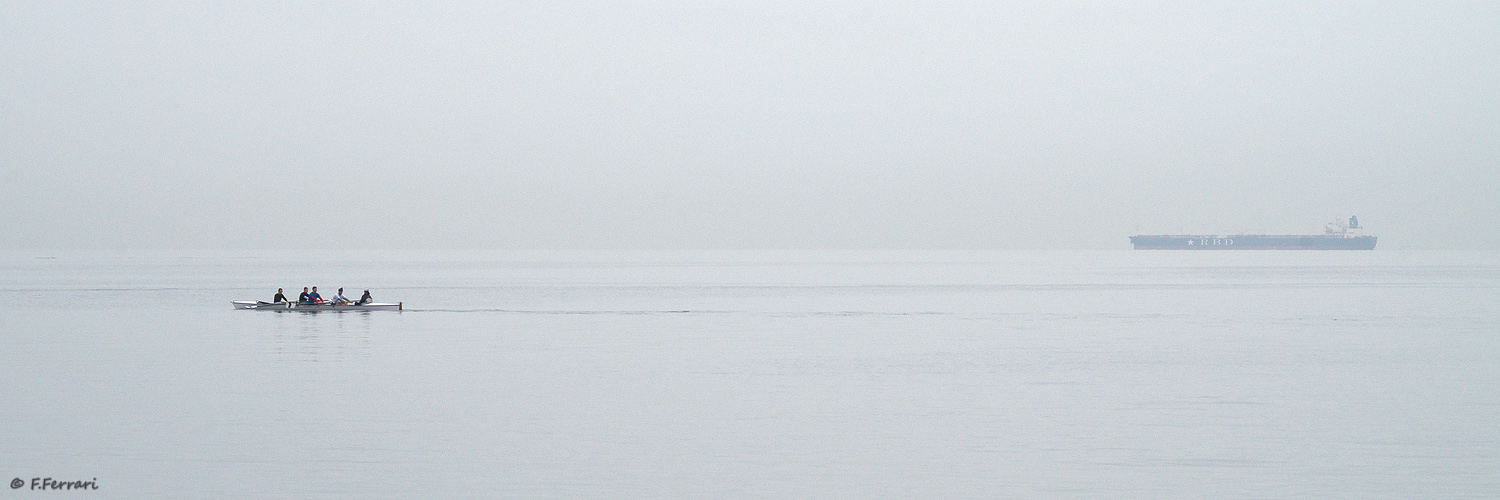 IMGP0882