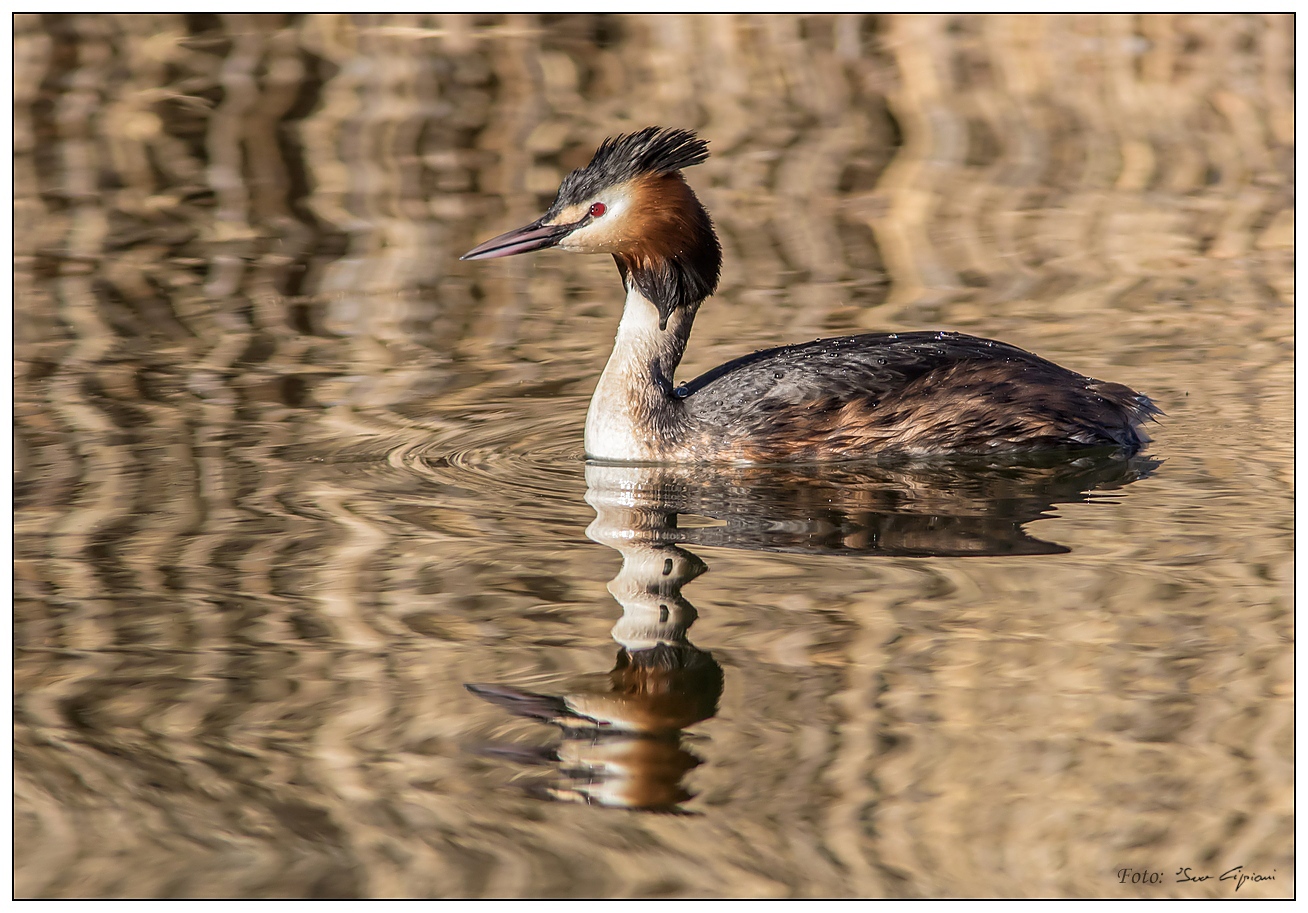 J'adore Dior parfume.