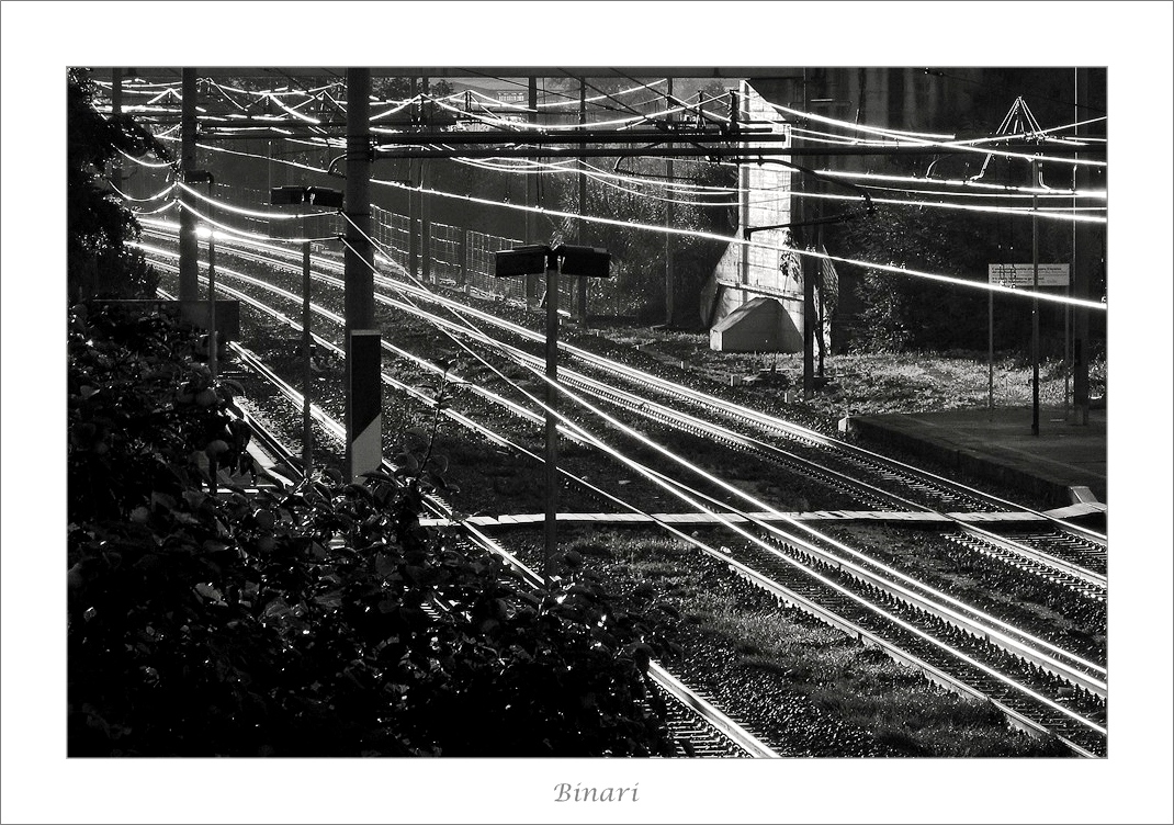 Binari