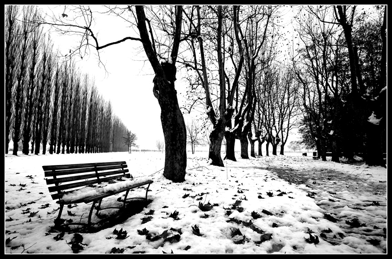 Prospettive di solitudine...