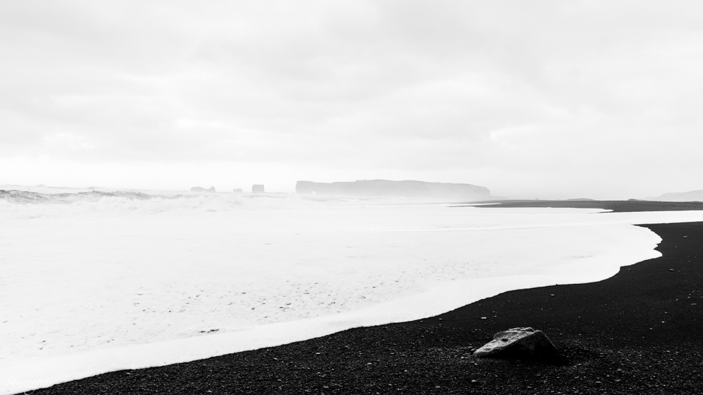 L'islanda non tollera i cretini