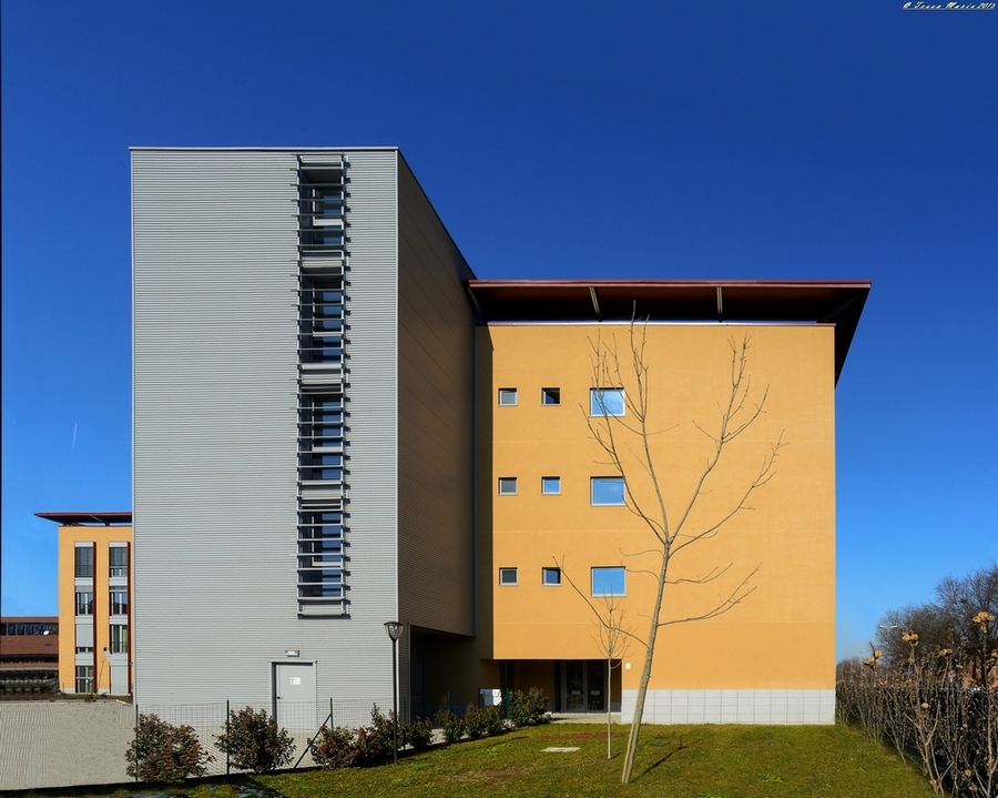 Linee verticali e orizzontali