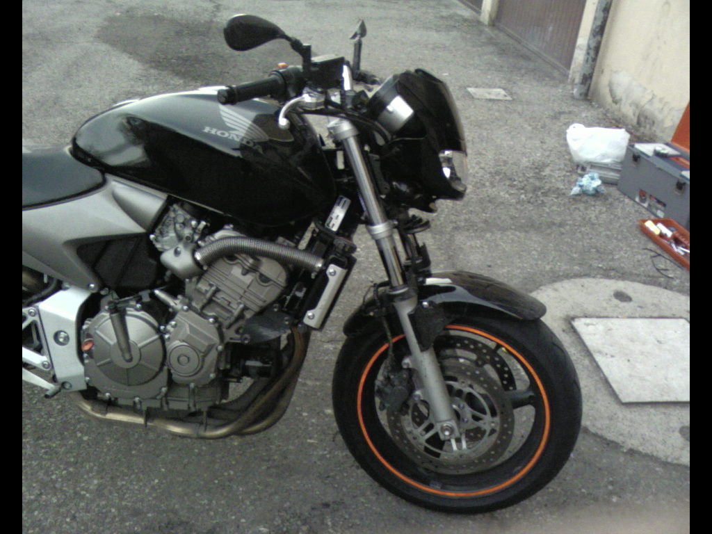 profilo mascherina DNA