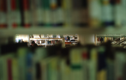 La testa tra i libri