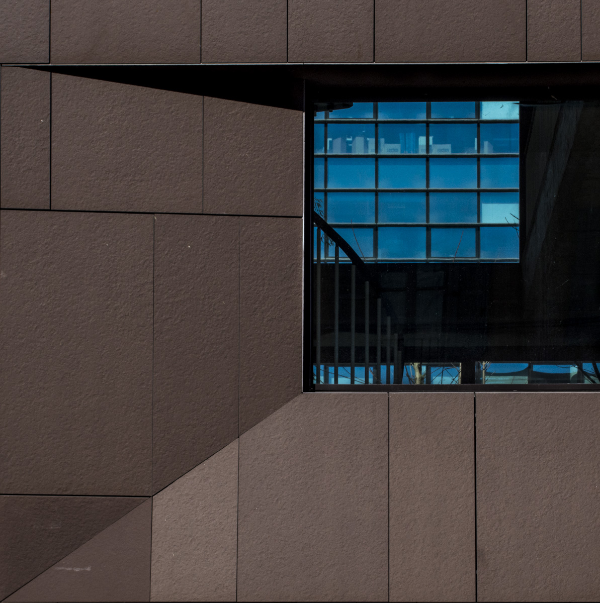 riflessi e trasparenze 2