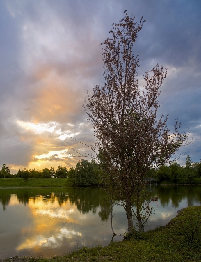 Parco Settimo Torino