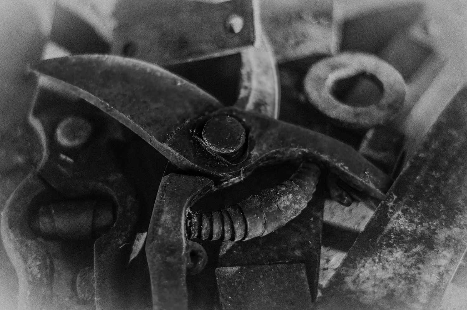 l' acqua fa la ruggine