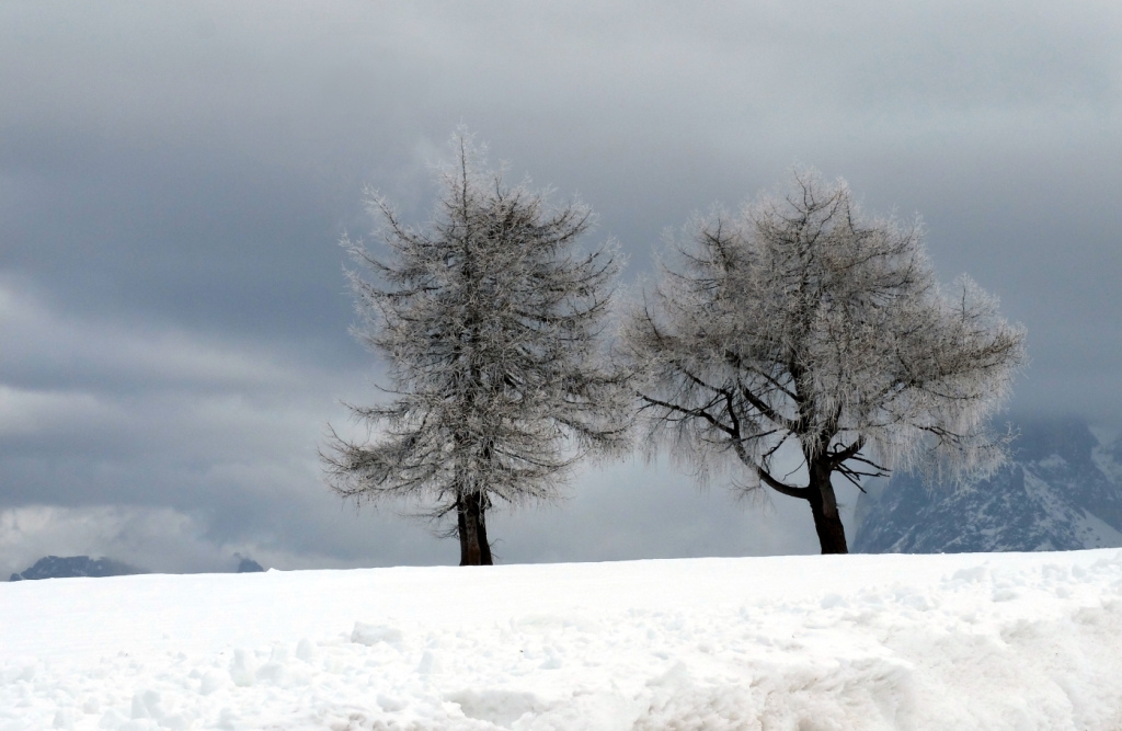 inverno all'Alpe di Siusi