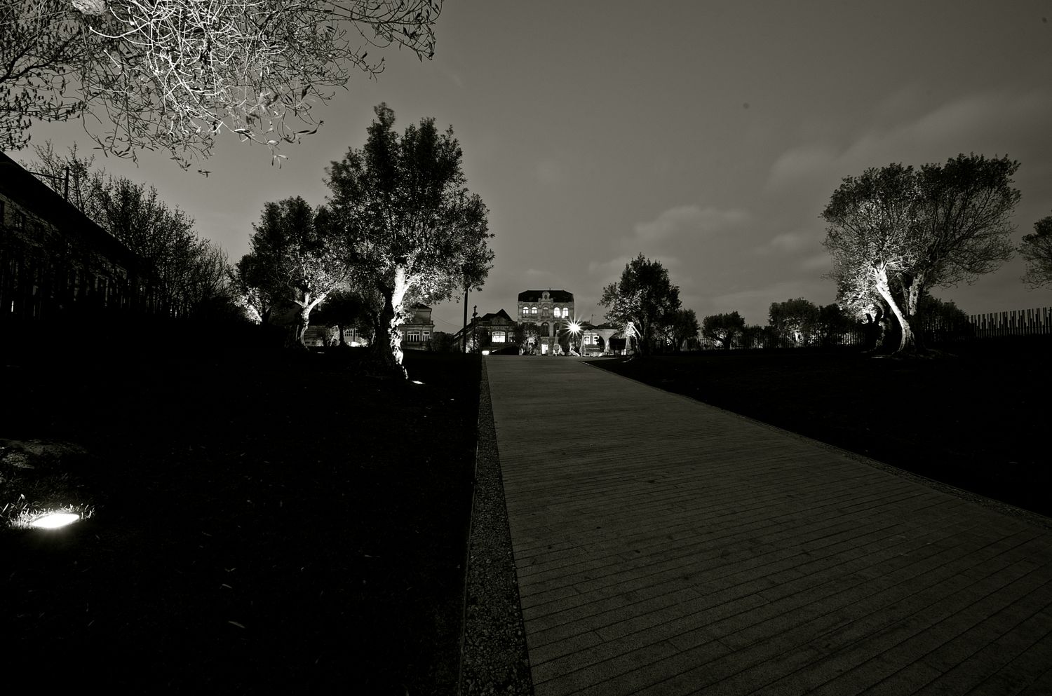 giardino degli ulivi