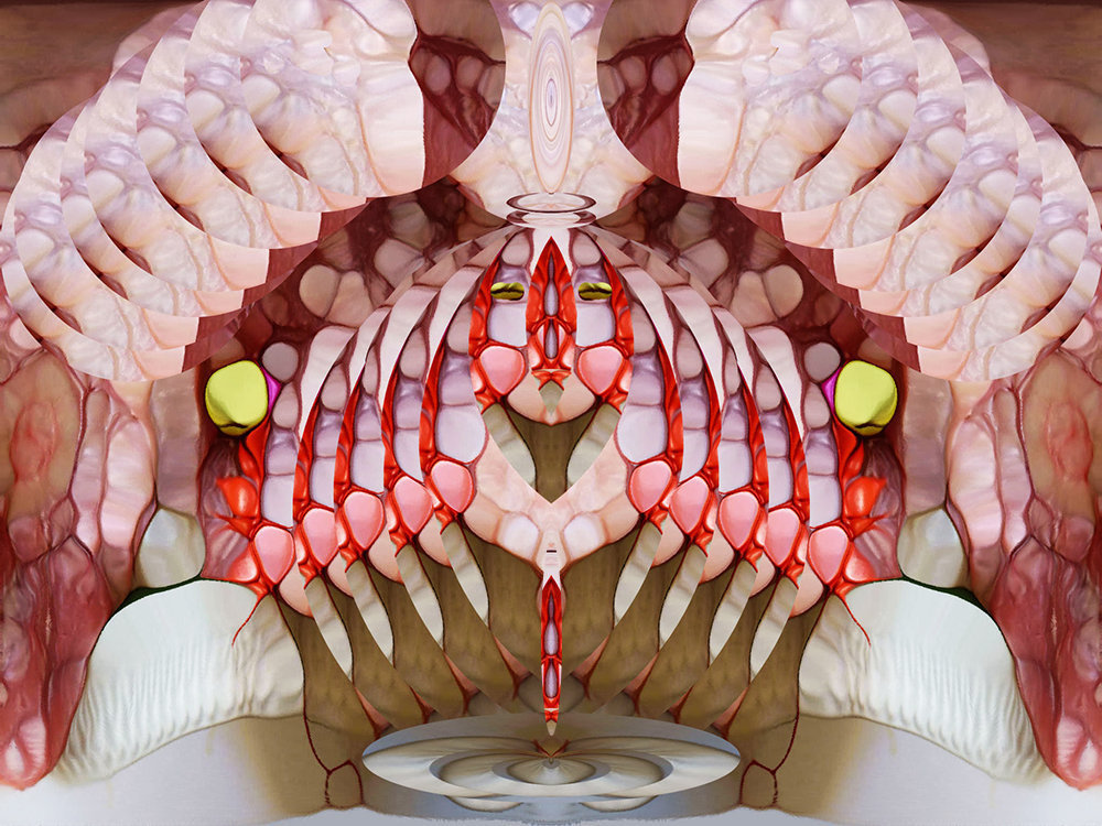 vidi in un sogno......