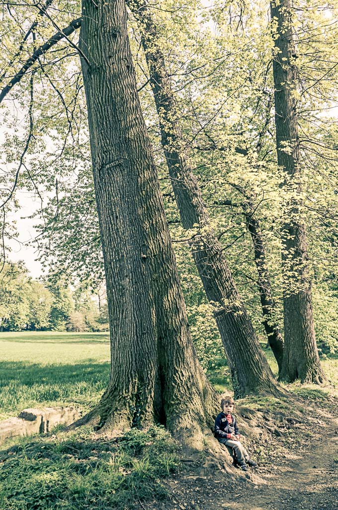 Edo al Parco del Torrione