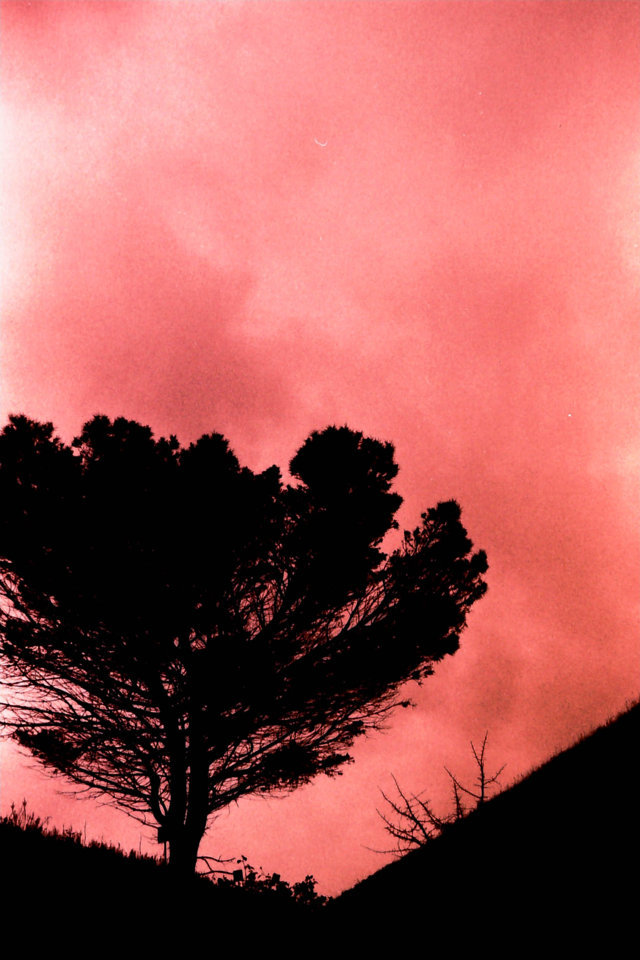 Le streghe sono tornate