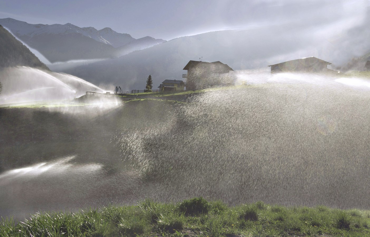 Attenzione...irrigazione a pioggia!