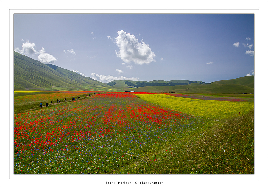 Passeggiate tra i colori