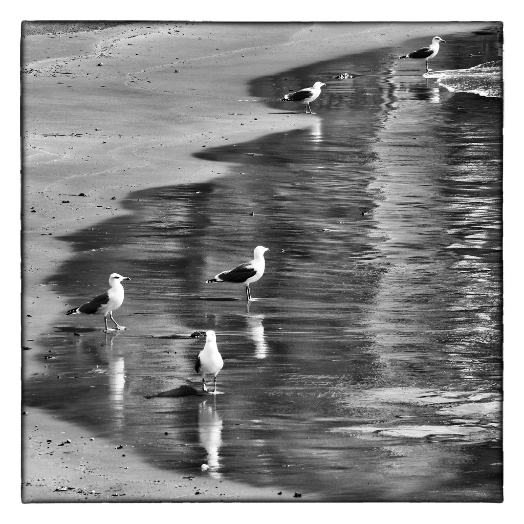 Il bagno della domenica