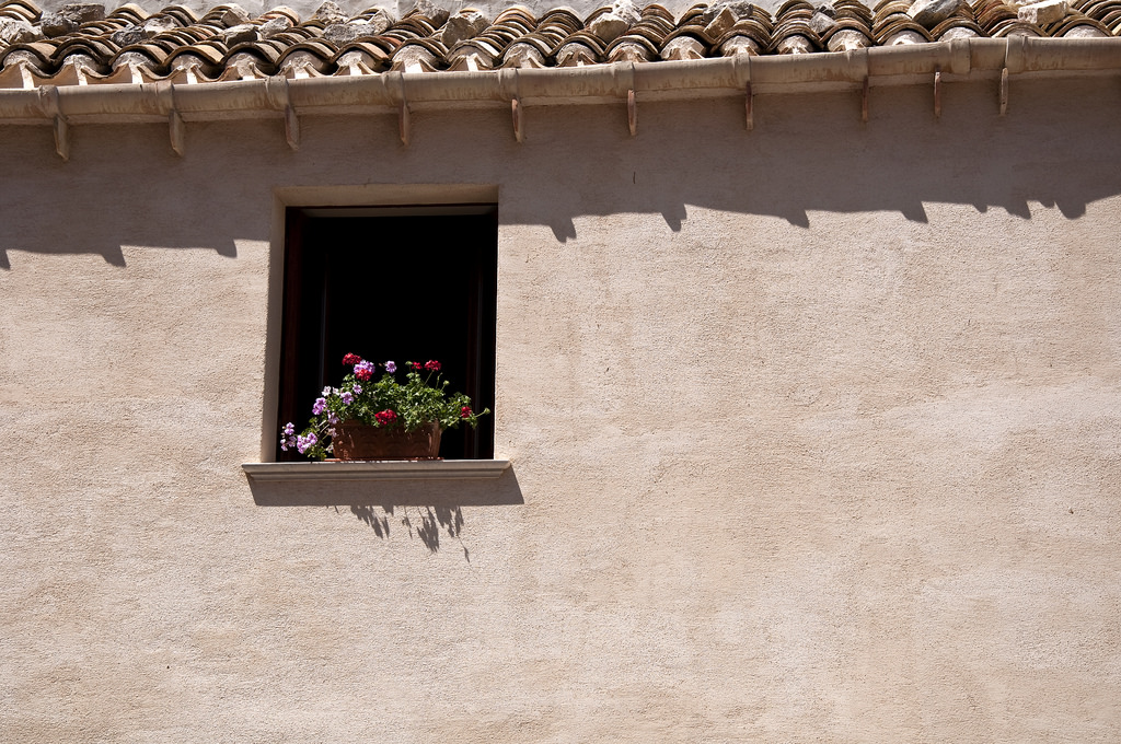 Finestra fiorita