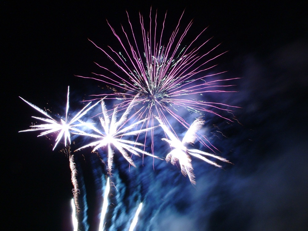 Fuochi d'artificio _2 (Le palme)