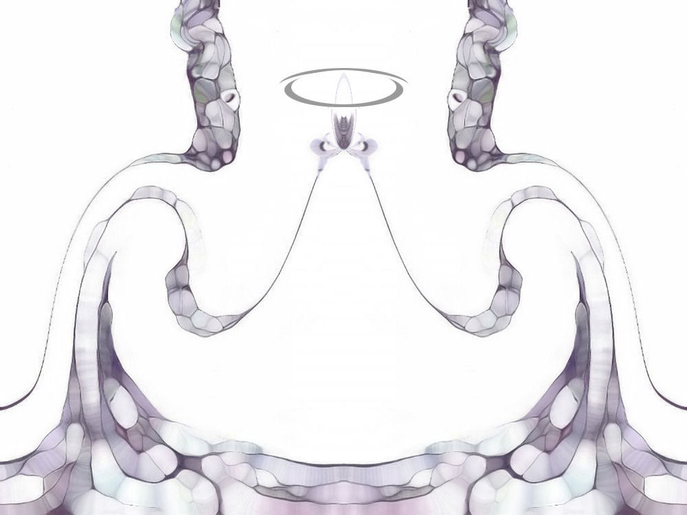 le custodi di Haumea