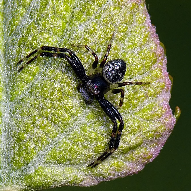 *** A braccia aperte ***