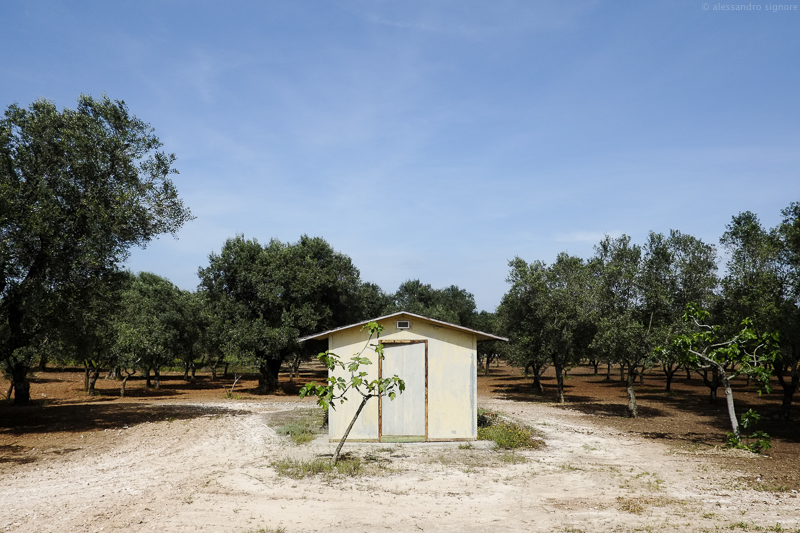 SP 366 - San Foca, Melendugno, Lecce - 2015