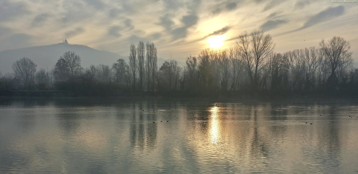 Parco Colletta Torino.